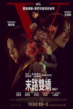 Y计划