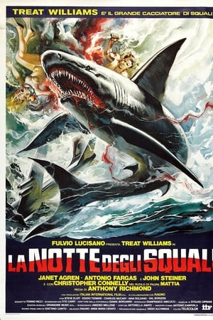 La notte degli squali