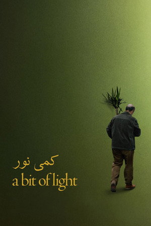 کمی نور