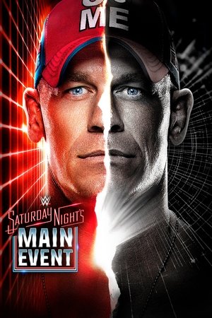 WWE 周六夜主战赛 39