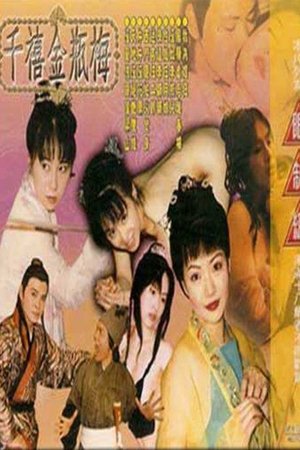 千禧金瓶梅之淫奴李瓶儿