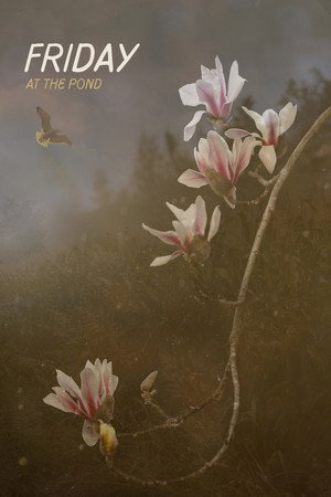 Friday At The Pond
