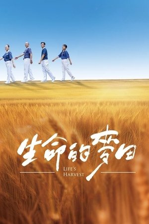生命的麦田
