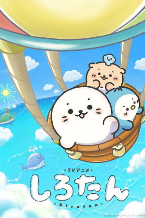 しろたん