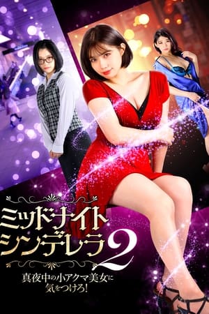 ミッドナイト・シンデレラ2 真夜中の小アクマ美女に気をつけろ！