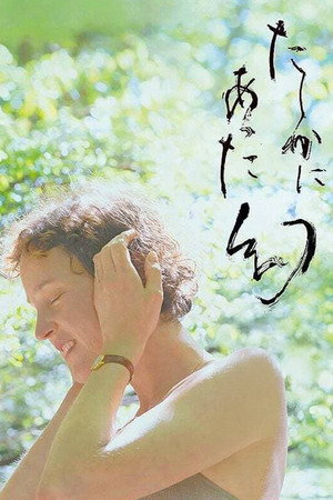 L'Illusion de Yakushima