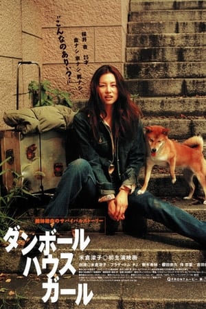 纸板宅女