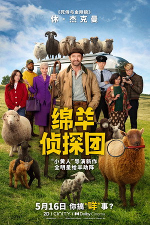 绵羊侦探团