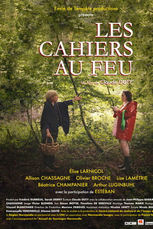 Les cahiers au feu