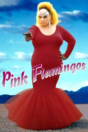 粉红色的火烈鸟,Pink Flamingos(1972电影)