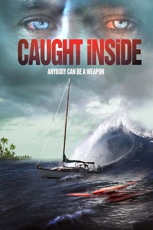 锁定,Caught Inside(2010电影)