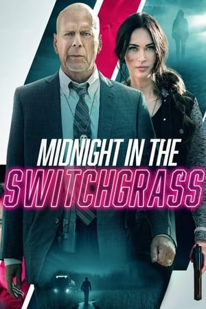 午夜的柳枝,Midnight in the Switchgrass(2021电影)