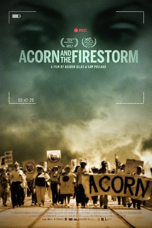 Acorn and the Firestorm电影海报