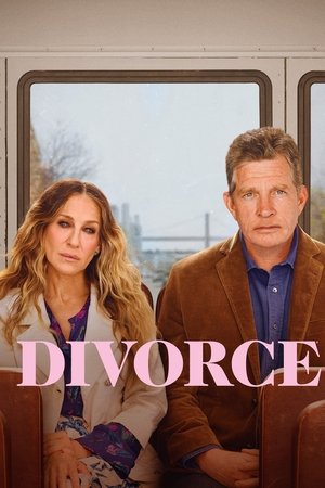 离婚,Divorce(2016电视剧集)