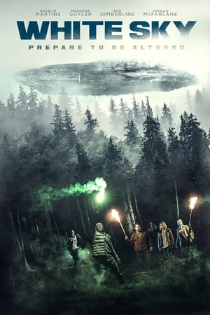 苍白天空,White Sky(2021电影)