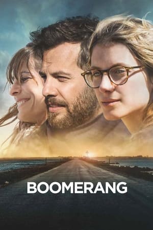回旋镖,Boomerang(2015电影)