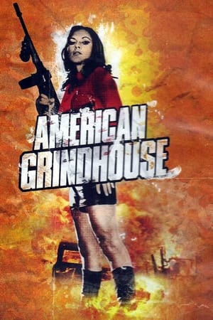 美国刑房,American Grindhouse(2011电影)