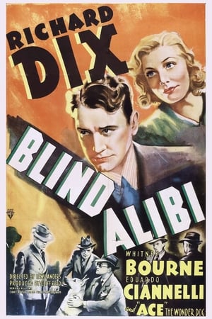 盲目辩解,Blind Alibi(1938电影)