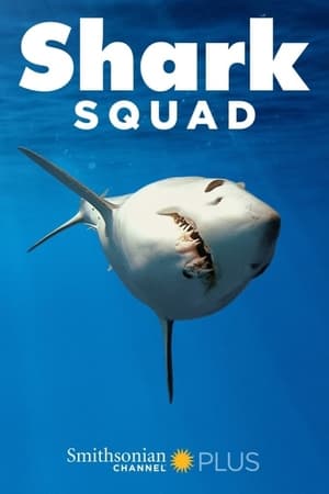 鲨鱼小队,Shark Squad(2017电视剧集)
