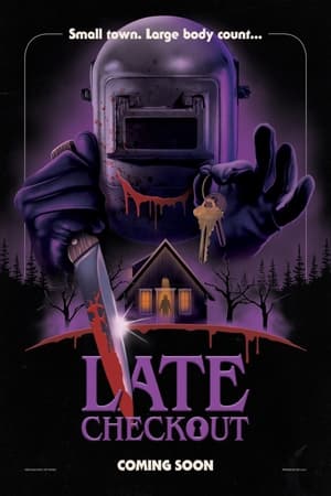 延迟退房,Late Checkout(2023电影)