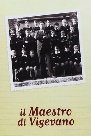 维杰瓦诺来的教师,Il maestro di Vigevano(1963电影)