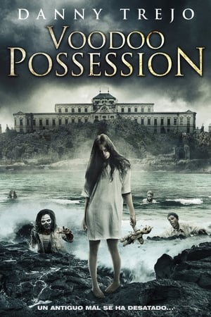 巫毒附体,Voodoo Possession(2014电影)