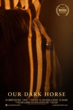 Our Dark Horse海报