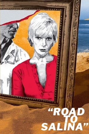 萨利纳之路,La Route de Salina(1970电影)