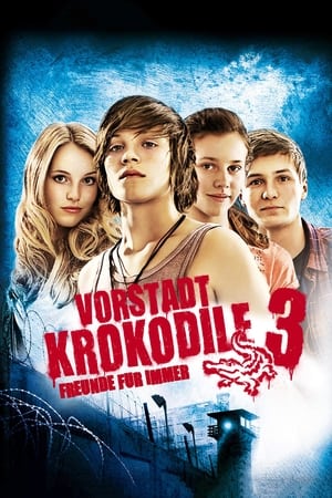 少年鳄鱼队3,Vorstadtkrokodile 3(2011电影)