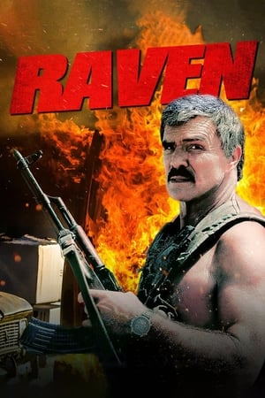 大乌鸦,Raven(1996电影)