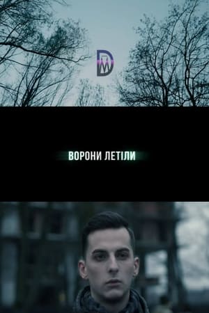 Ворони летіли电影海报