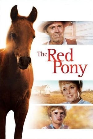 The Red Pony电影海报