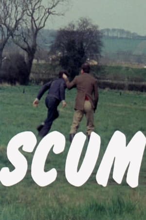 人渣,Scum(1977电影)