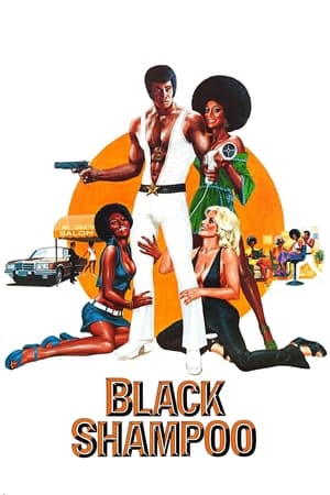 黑香波,Black Shampoo(1976电影)