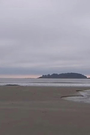 Landscape Tempos 1-7电影海报