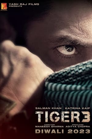 猛虎3,Tiger 3(2023电影)