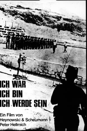 Ich war, ich bin, ich werde sein电影海报