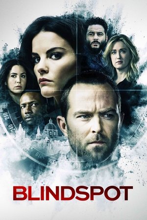 盲点,Blindspot(2015电视剧集)