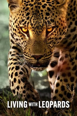 幼豹成长记,Living with Leopards(2024电影)