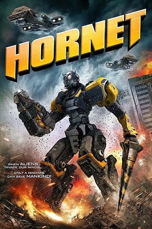 山寨大黄蜂,Hornet(2018电影)