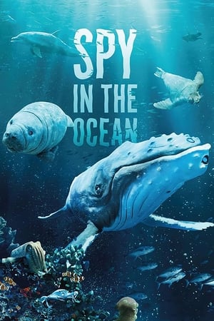 海洋间谍,Spy in the Ocean(2023电视剧集)