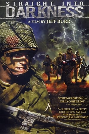 堕入黑暗,Straight Into Darkness(2004电影)