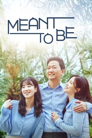 天空的姻缘,하늘의 인연(2023电视剧集)