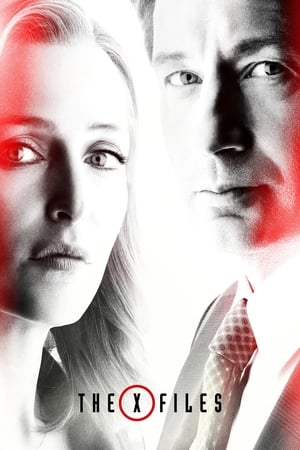 X档案,The X-Files(1993电视剧集)