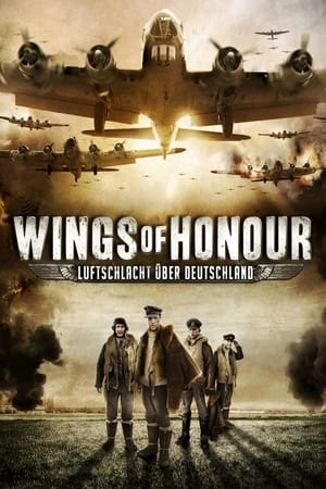 空中的天使,Angel of the Skies(2013电影)