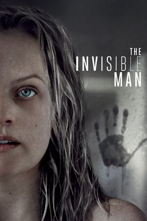 隐形人,The Invisible Man(2020电影)