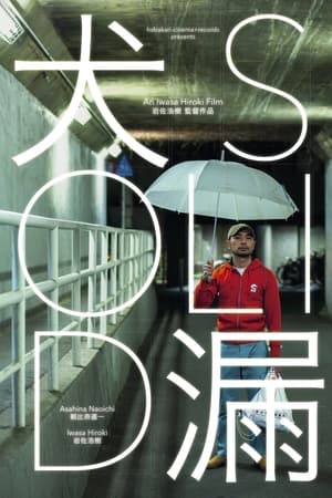 犬漏