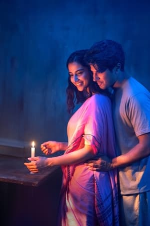 撞大运,లక్కీ భాస్కర్‌(2024电影)
