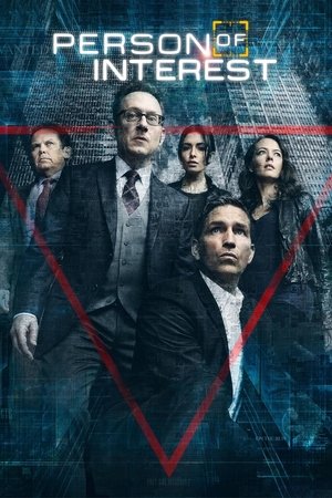 疑犯追踪,Person of Interest(2011电视剧集)