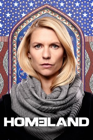国土安全,Homeland(2011电视剧集)
